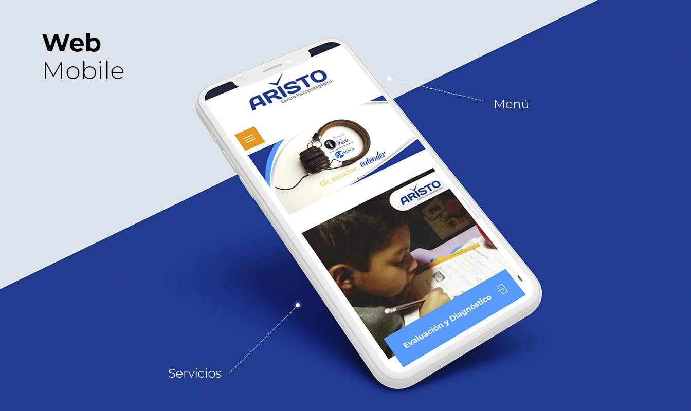 Desarrollo de páginas web en Arequipa