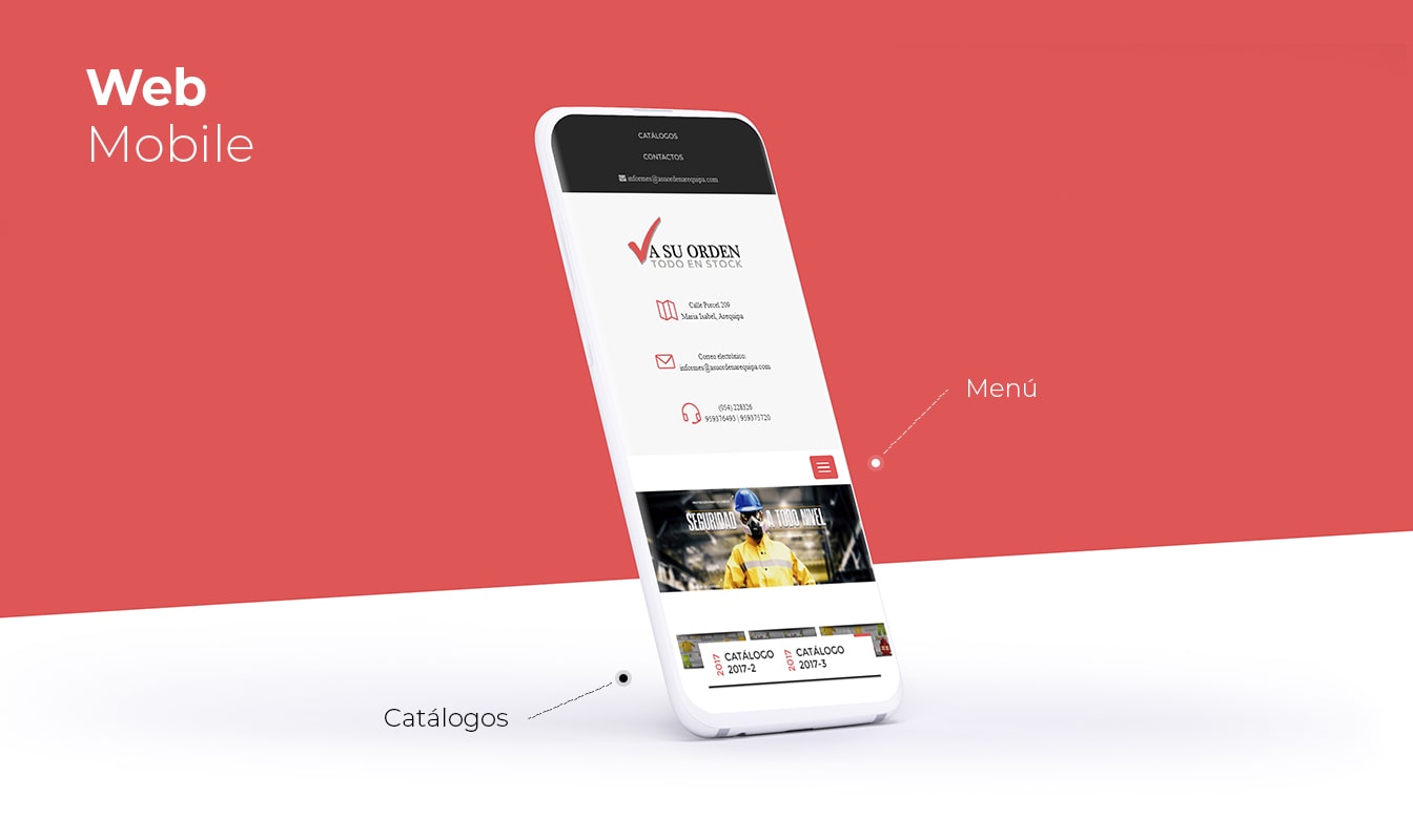 Desarrollo de páginas web en Arequipa