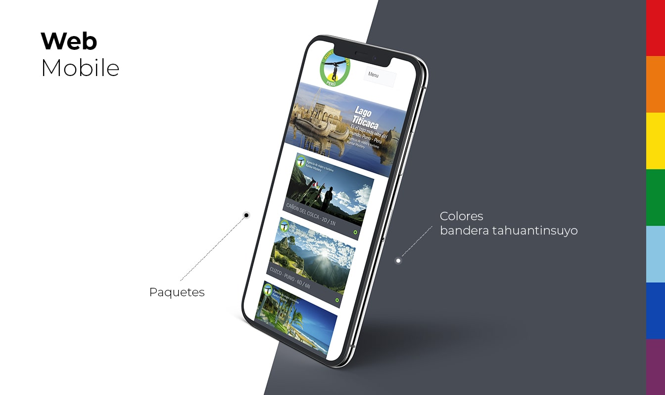 Desarrollo de páginas web en Arequipa