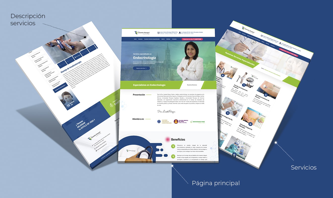 Desarrollo de páginas web en Arequipa