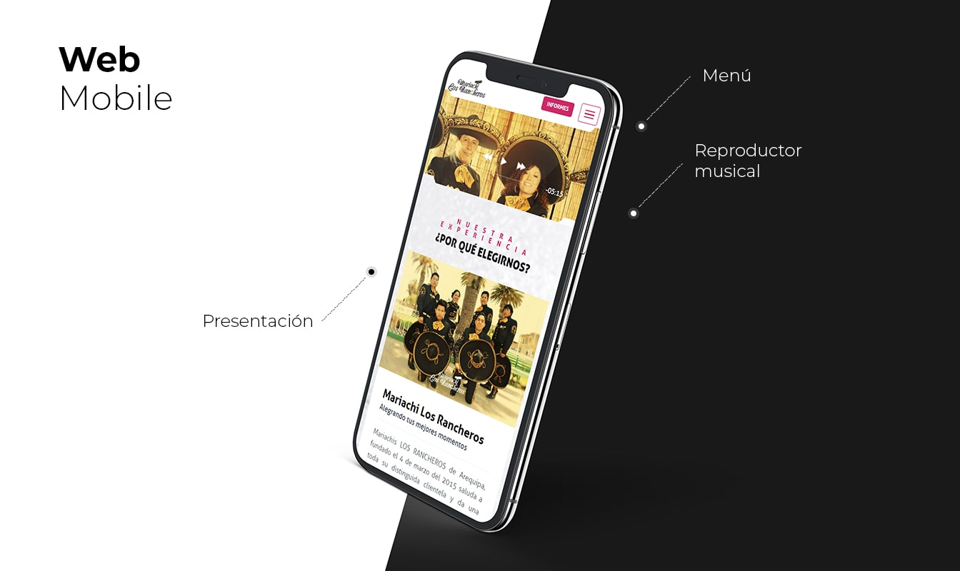 Desarrollo de páginas web en Arequipa
