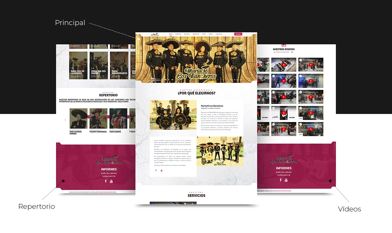 Desarrollo de páginas web en Arequipa