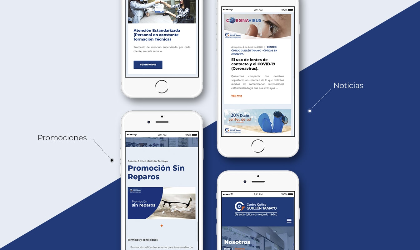 Desarrollo de páginas web en Arequipa